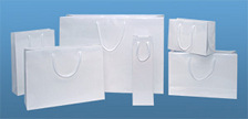 papiertaschen kaufen, papiertragetaschen, papiertaschen unbedruckt, papiertragetaschen weiß, papiertaschen hochglanz